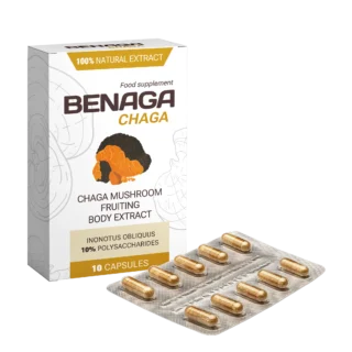 Benaga Chaga